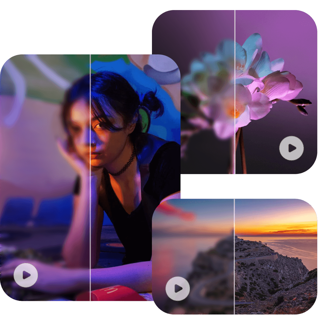 fix blurry sunflower video and enhance details using Clipfly AI video enhancer