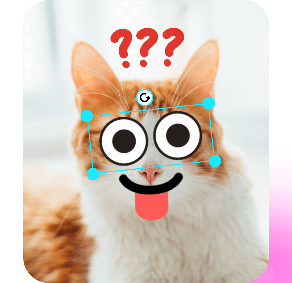 put cute facial features stickers and a question mark sticker on a cat video with Clipfly