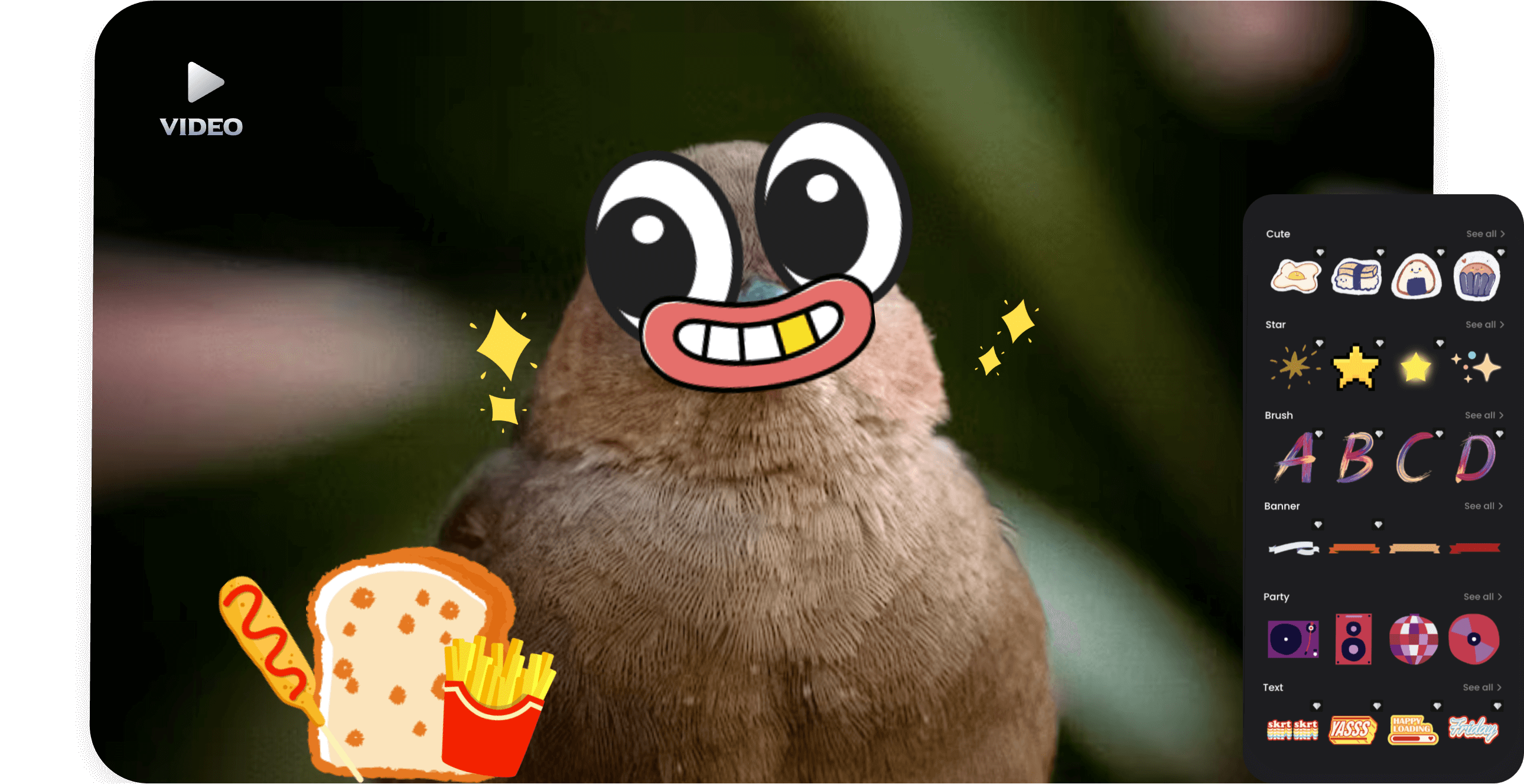 add various cute stickers to an animal video using the Clipfly video sticker adder tool
