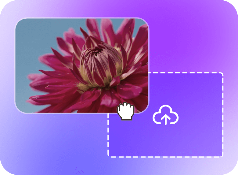 upload a flower video to Clipfly