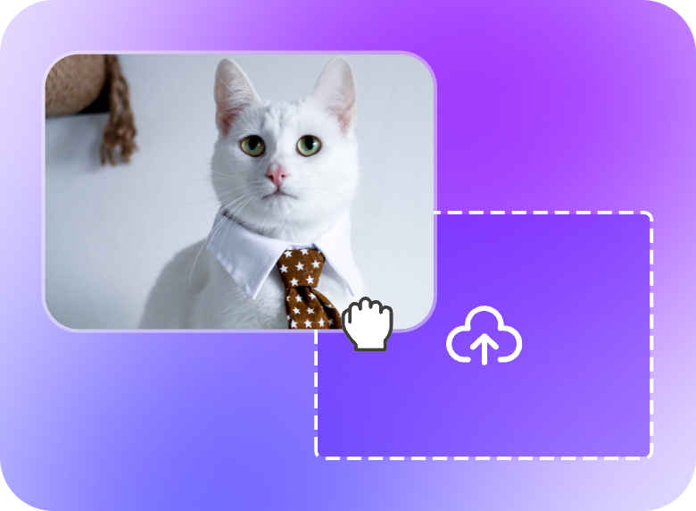 upload a cat video to Clipfly video splitter