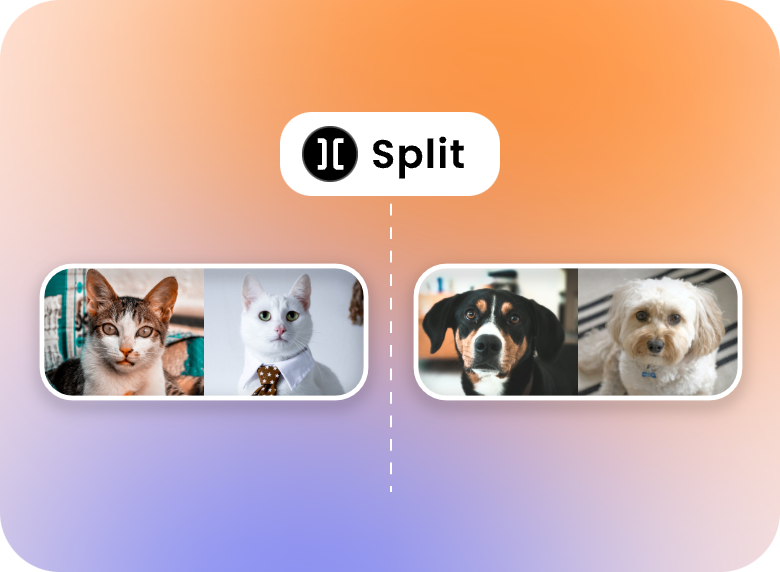 split a pet video with video splitter