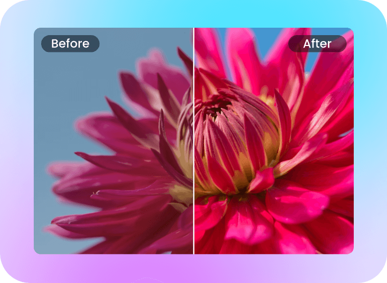 correct the flower video's color with Clipfly