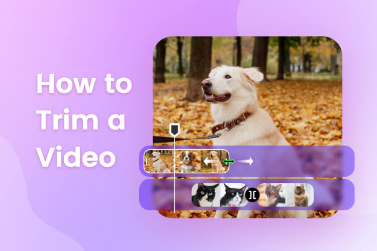 How to Trim a Video (Online & Mobile & Windows & Mac)