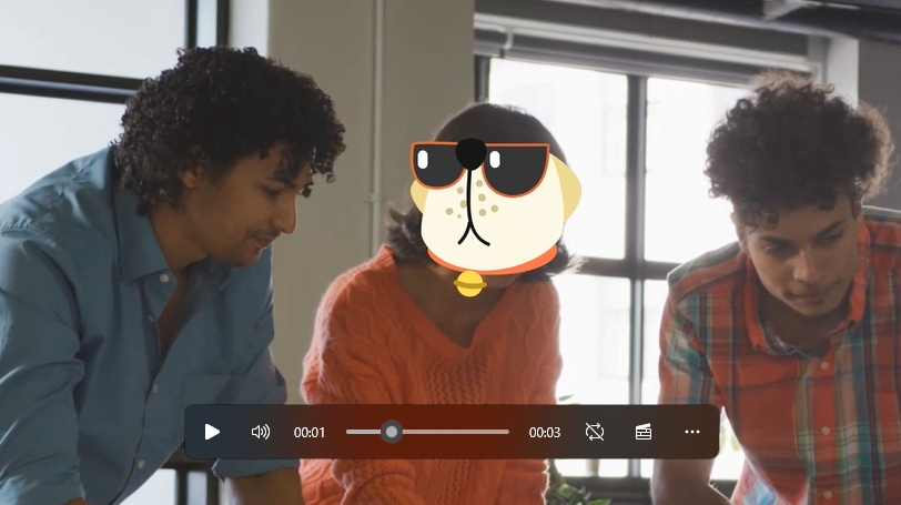 hide a face in a video with a cartoon dog sticker
